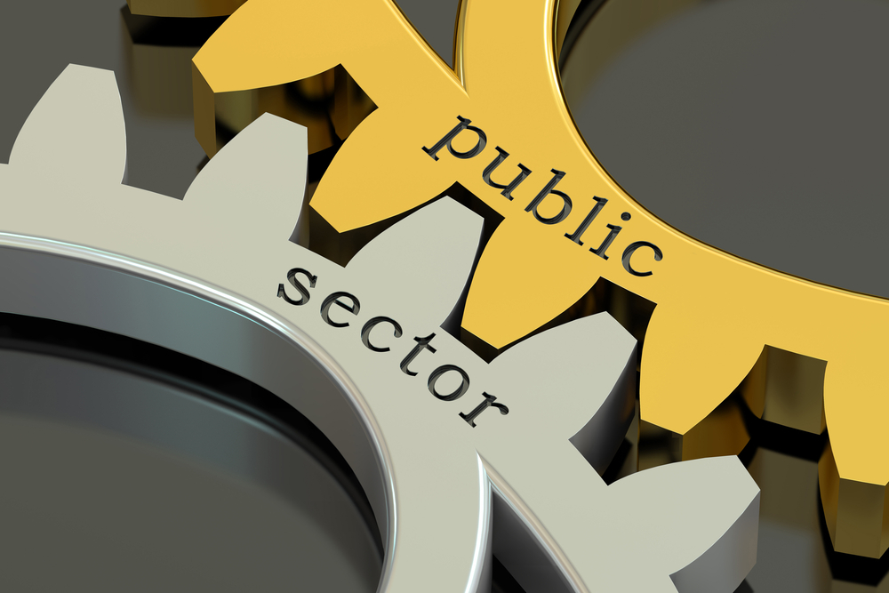 Public Sector