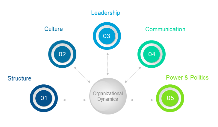 Internal Management