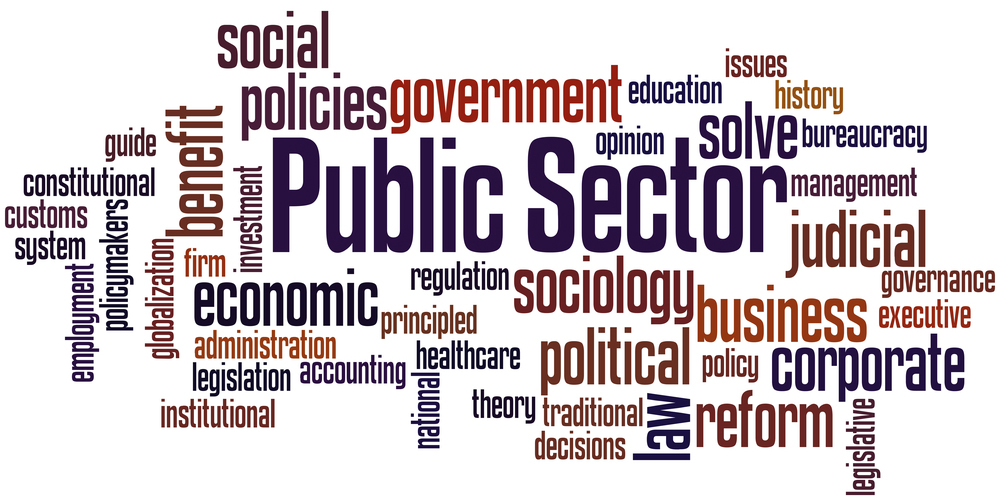 Public Sector