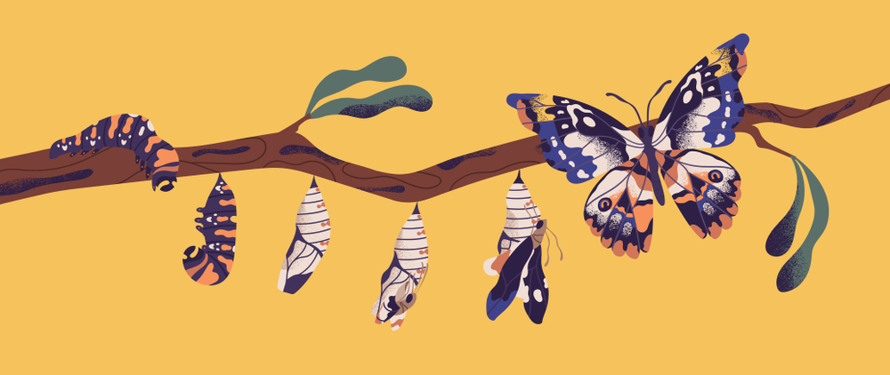 Business Transformation