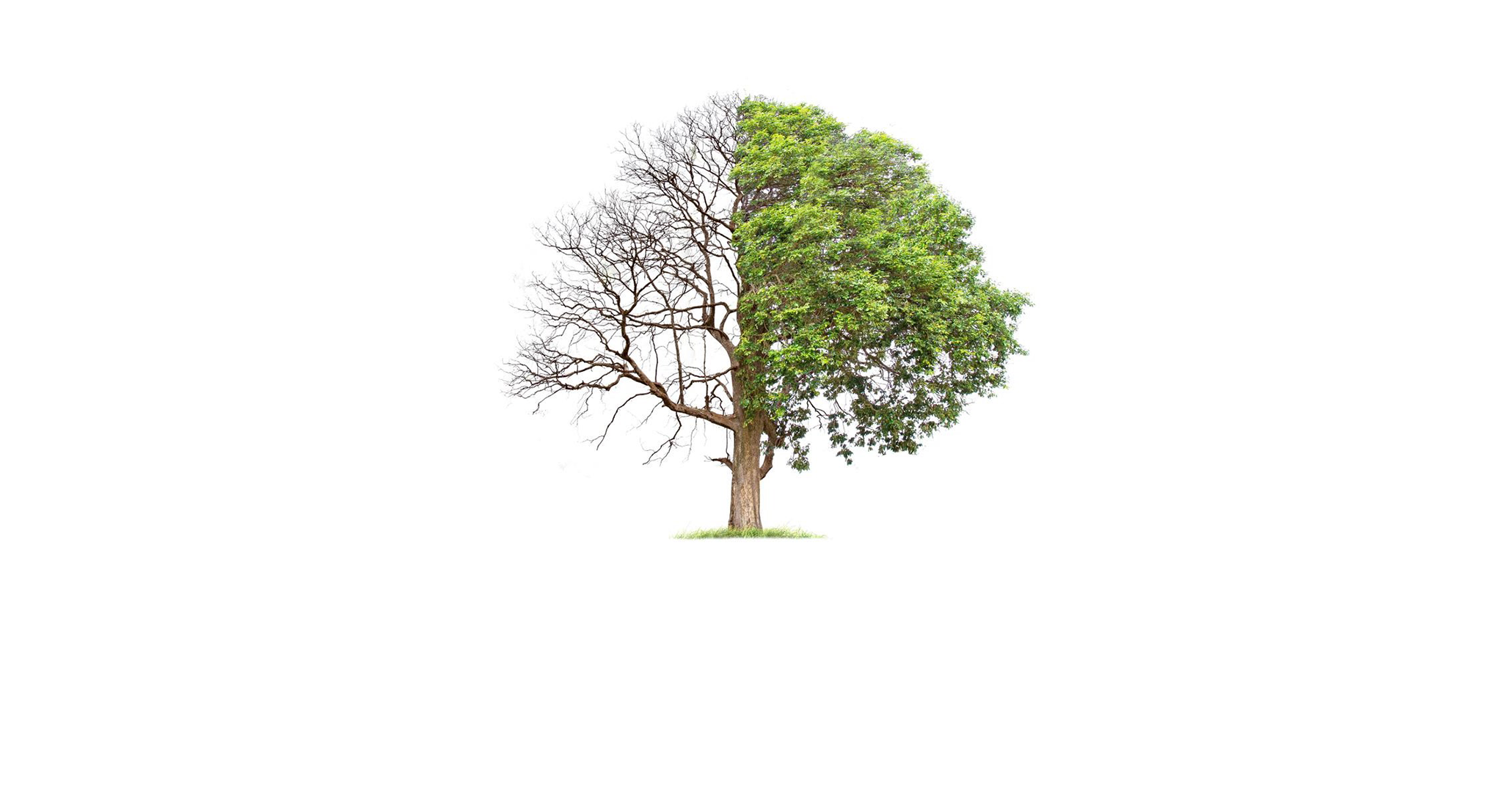 Old and Young Age of Transformation